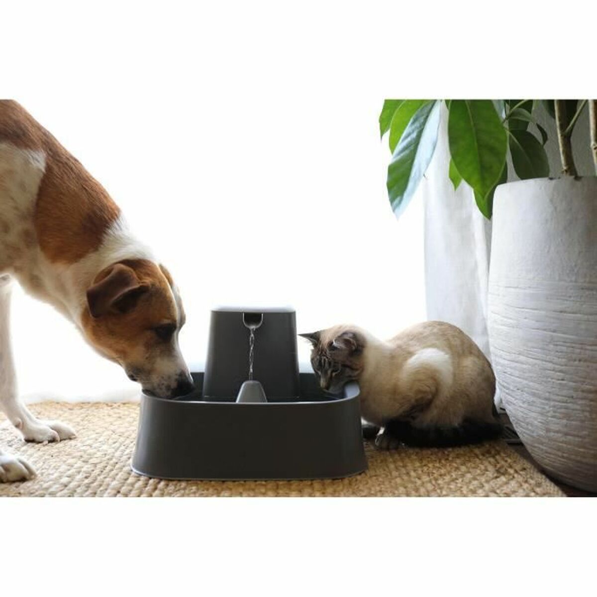 Fontana per animali domestici PetSafe 7,5 L
