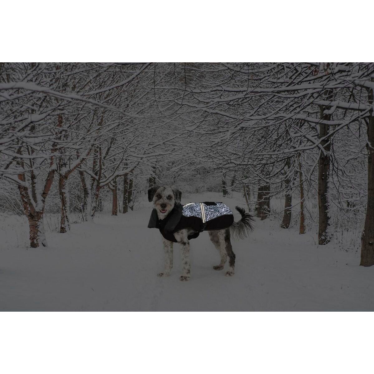 Cappotto per cani Dog Gone Smart, nero, 35 cm