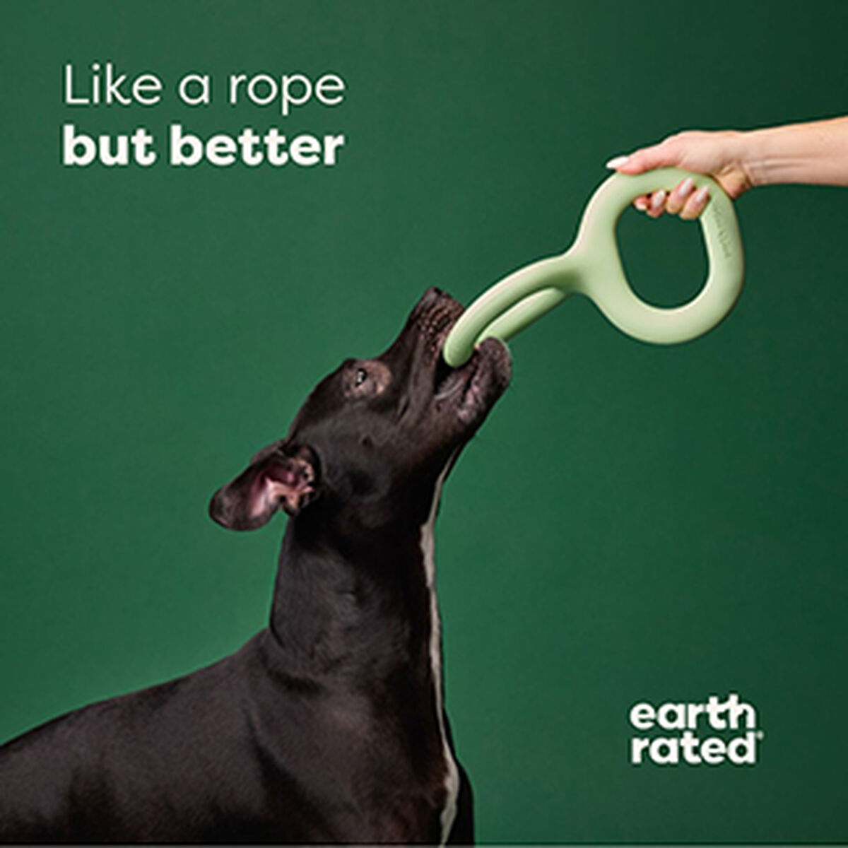 Giocattolo per cani classificato Earth Rated