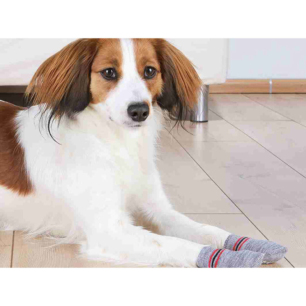 Calzini Trixie grigi taglia XL per cani