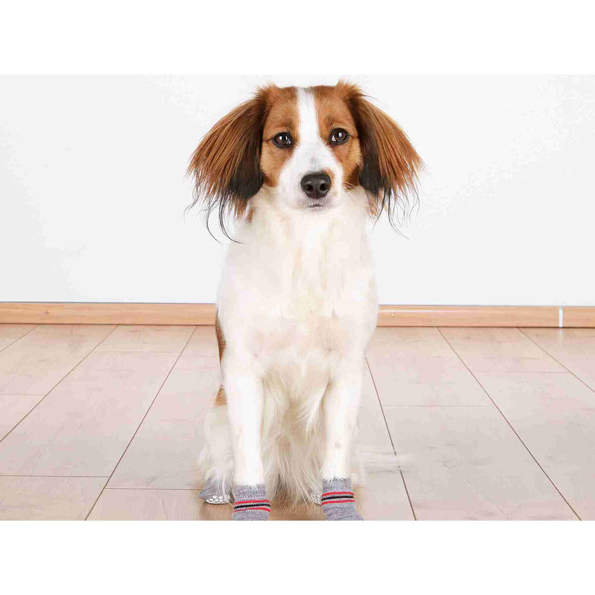Calzini Trixie grigi taglia XL per cani