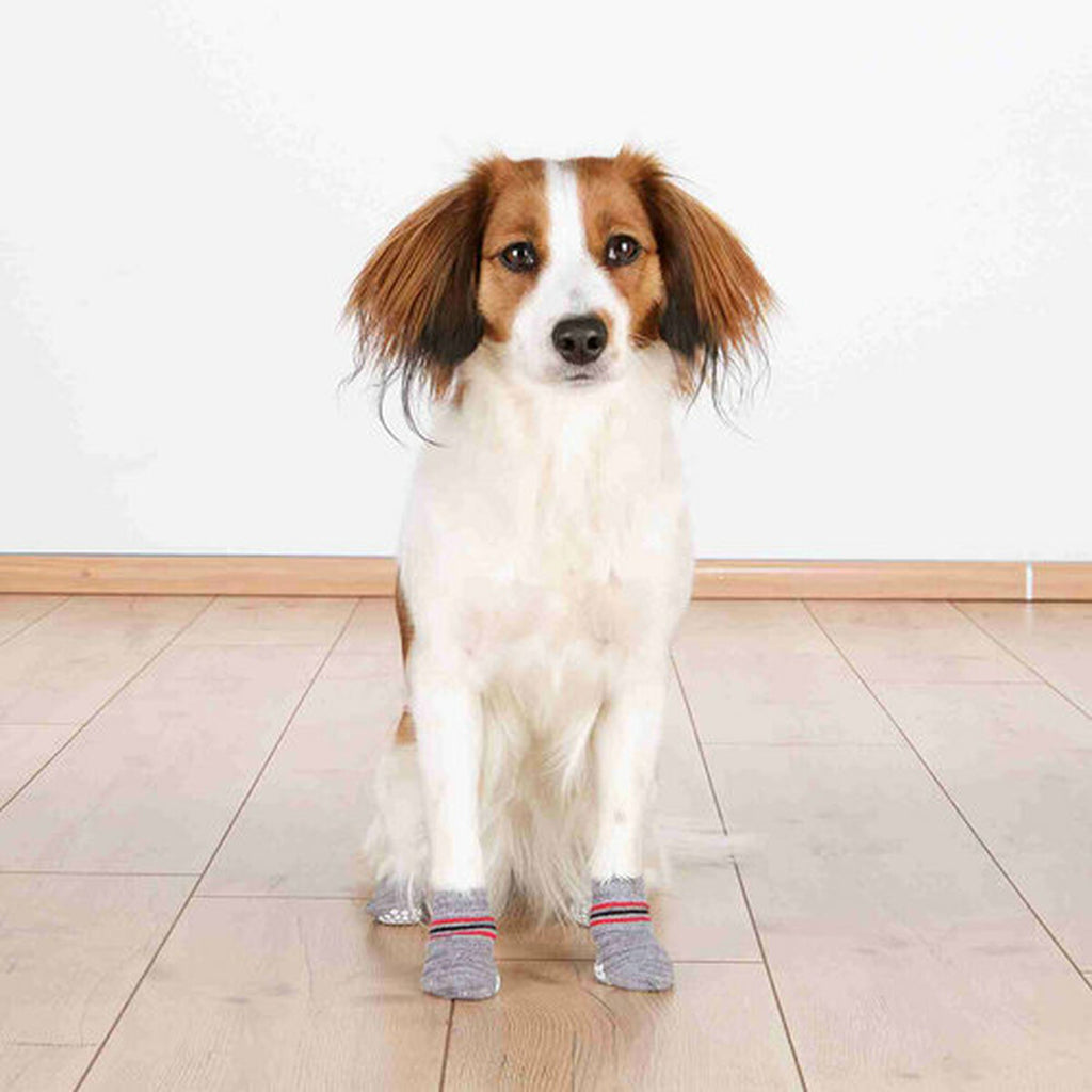 Calzini Trixie grigi taglia XL per cani