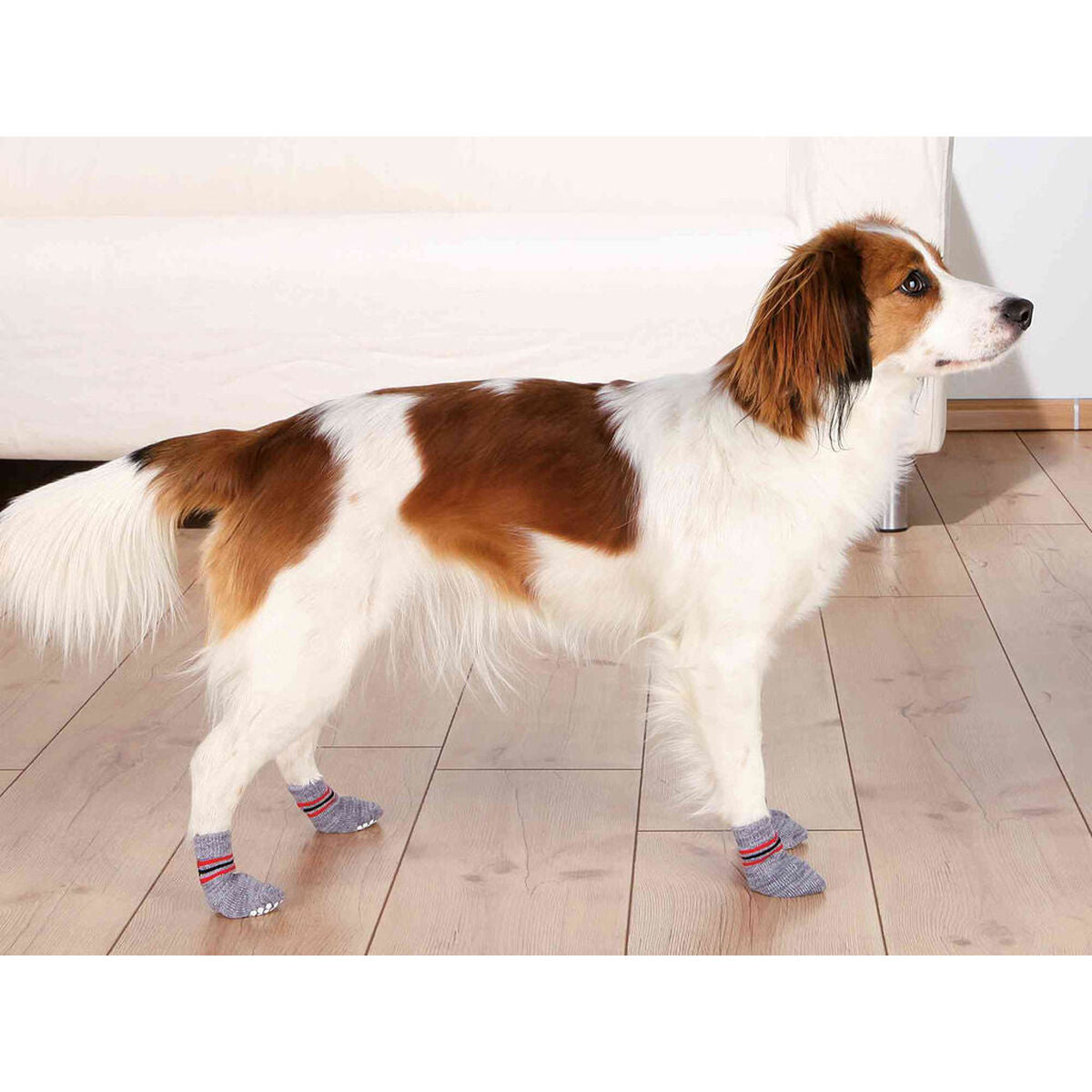 Calzini Trixie grigi taglia XL per cani