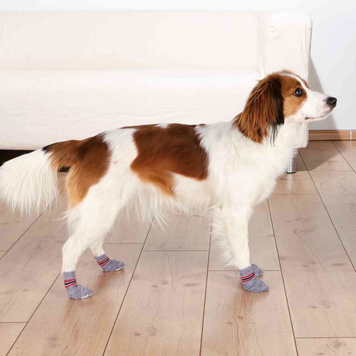 Calzini Trixie grigi taglia XL per cani