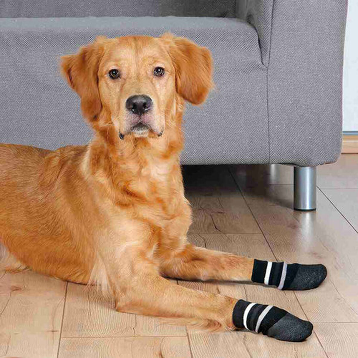 Calzini Trixie neri taglia S/M per cani