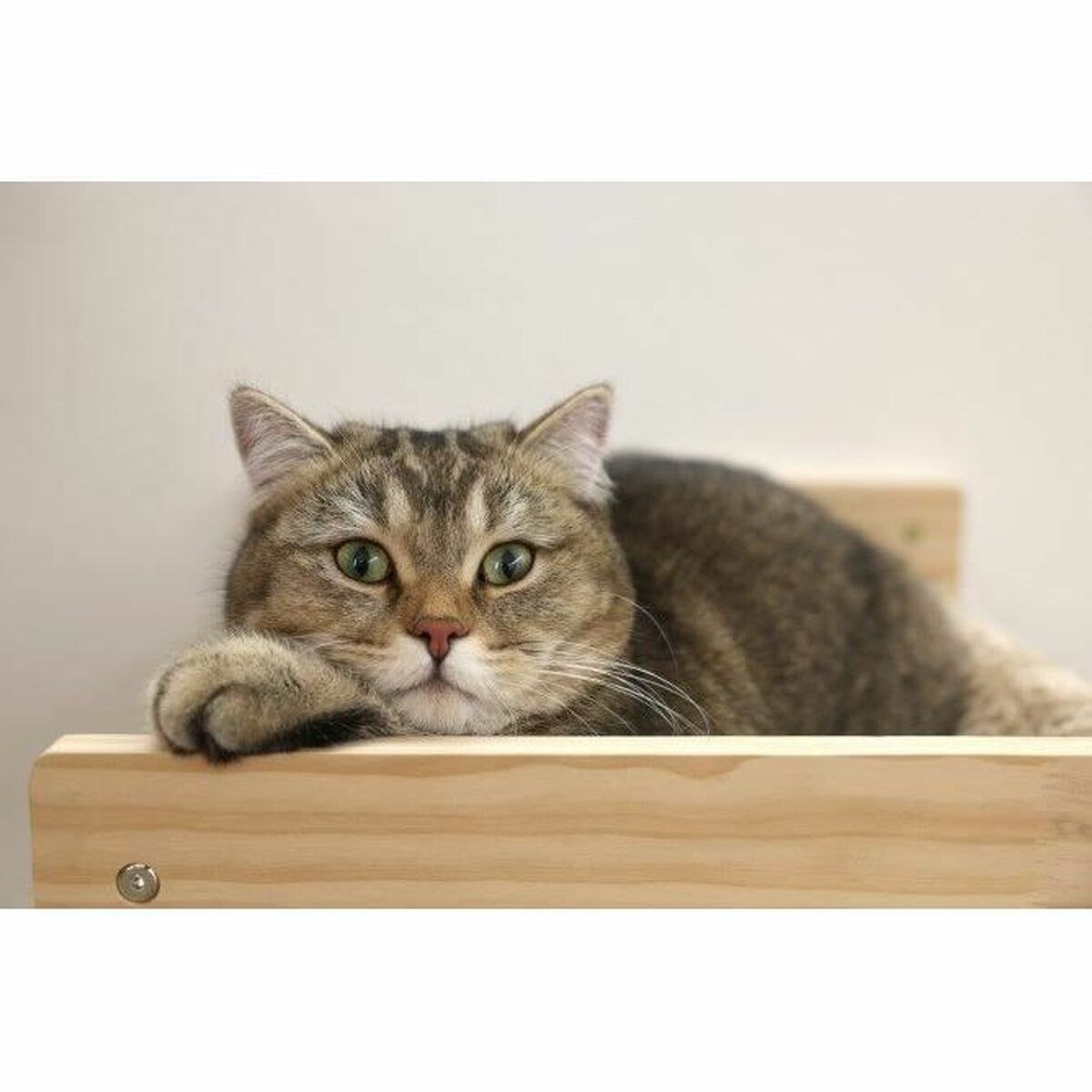 Cuccia per gatti Kerbl TIMBER Beige