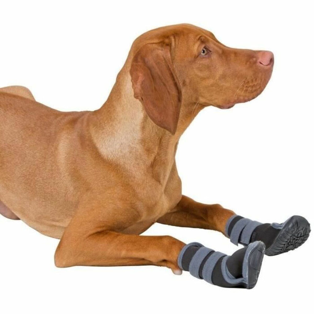 Dog shoes Kerbl Black L-1